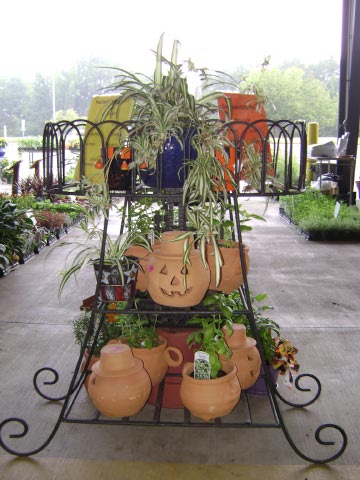 Clay Pumpkins